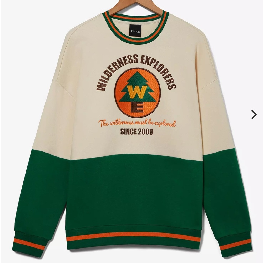Pixar Wilderness Explorers Colorblock Panel Crewneck Sweater - Cream & Green